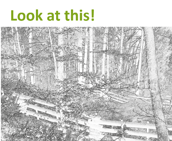 window to debris-flow jaga-woferl-graben window to debris-flow jaga-woferl-graben